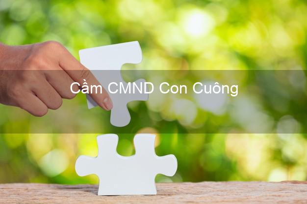 Top 6 Cầm CMND Con Cuông Nghệ An uy tín nhất